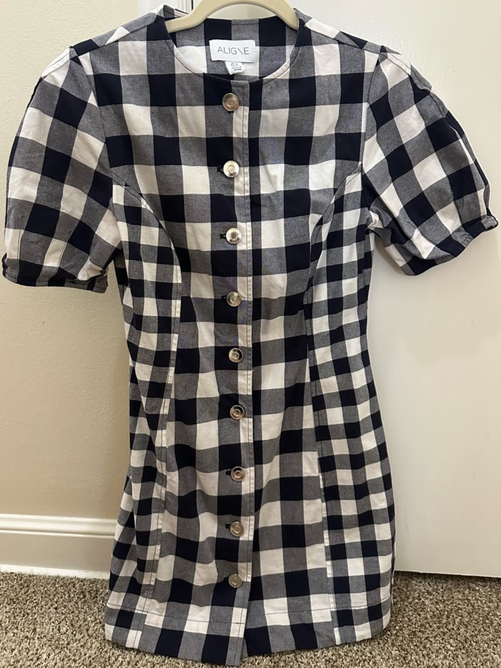 Aligne Aurelia Gingham Dress in Checkered Blue and White - Picture 4 of 8